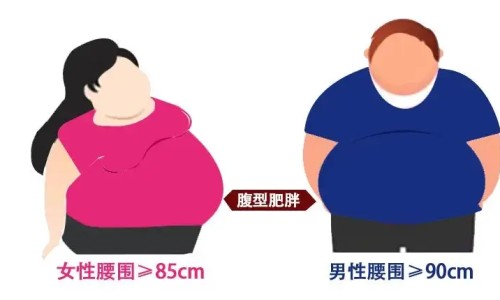 蜜炼胖大海说明书网 - 胖大海蜜炼枇杷膏功效,胖大海蜜炼枇杷糖